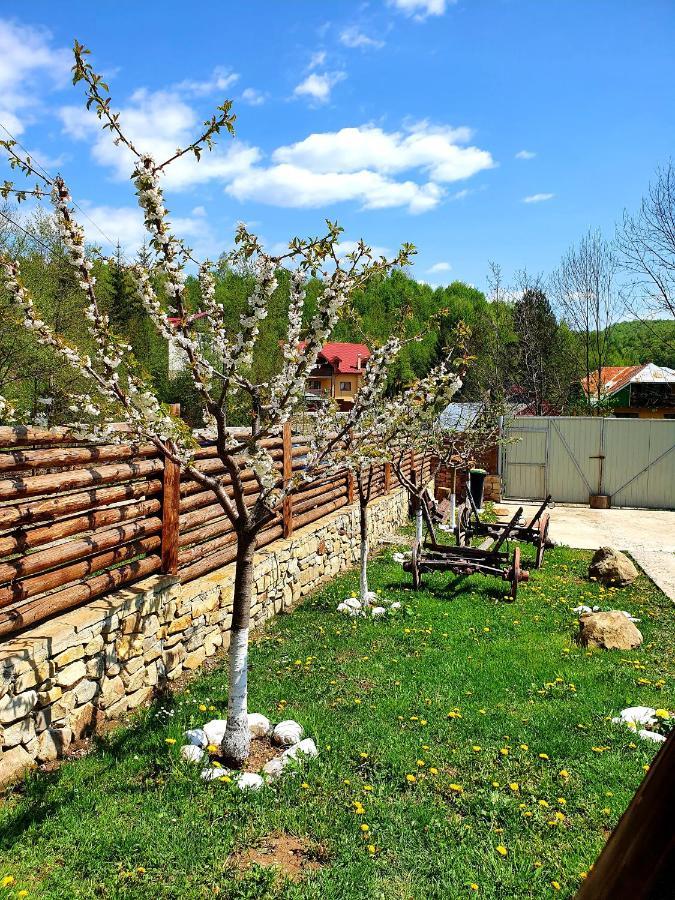 Rooms Poienita Slănic Moldova Exterior foto